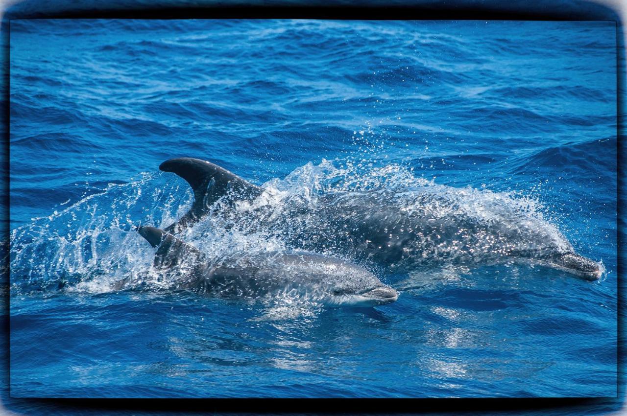 Pop En Roussillon Canet-en-Roussillon